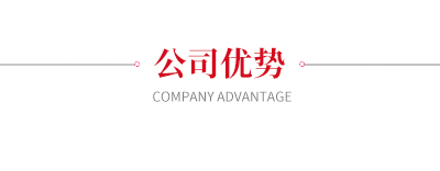 公司优势